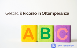 Ricorso in ottemperanza